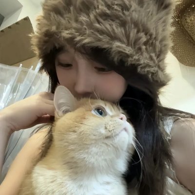 继承者风云