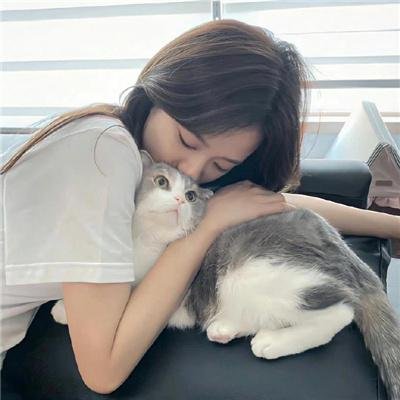 摇滚私家侦探